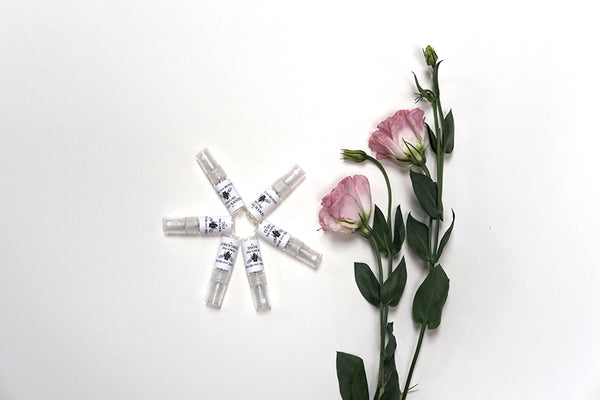 SCENTS Discovery Set