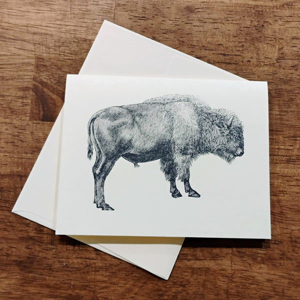 Note Card -- Buffalo