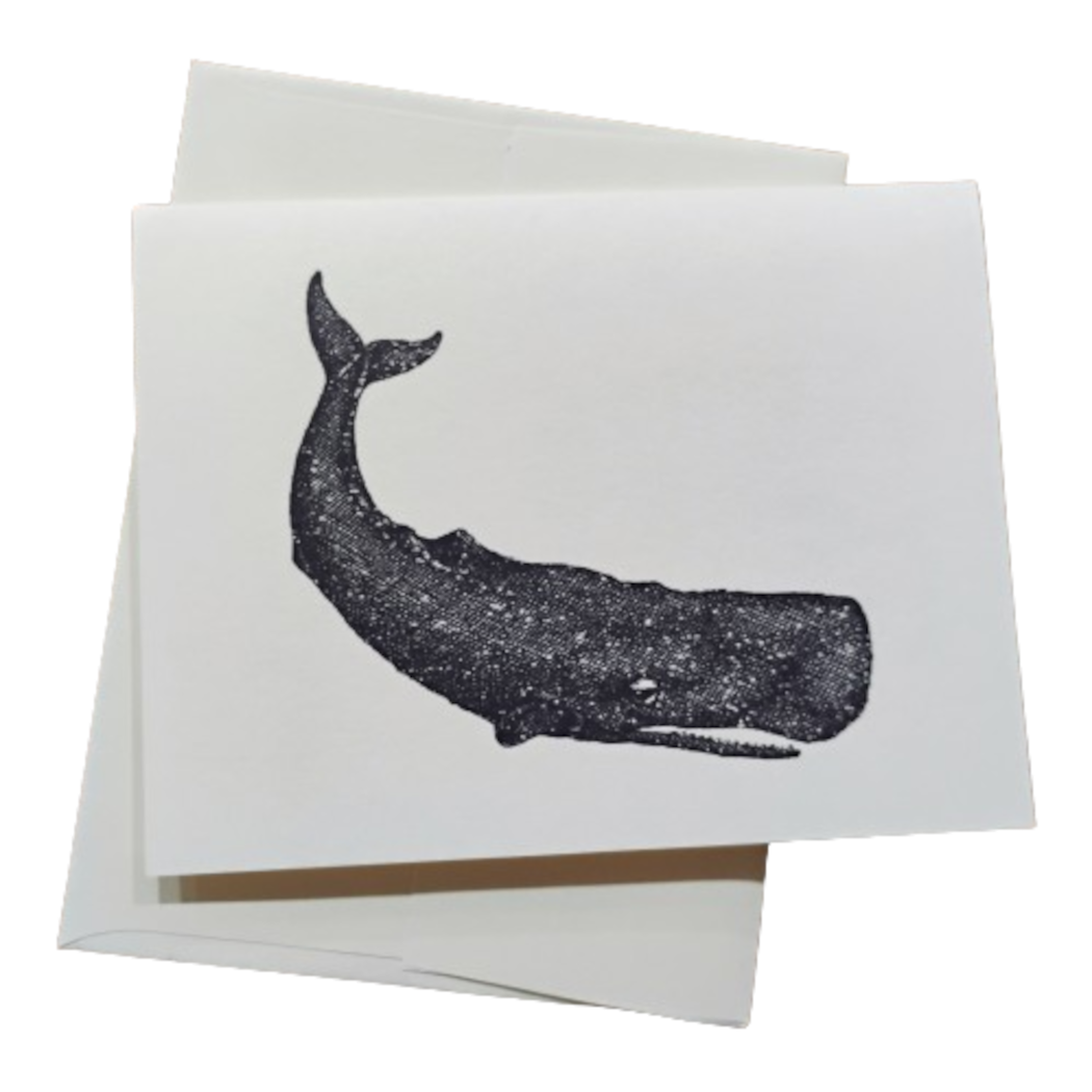 Note Card -- Whale