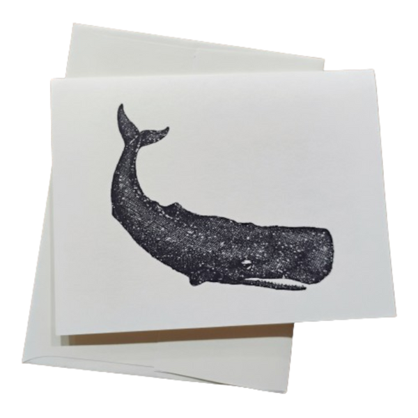 Note Card -- Whale