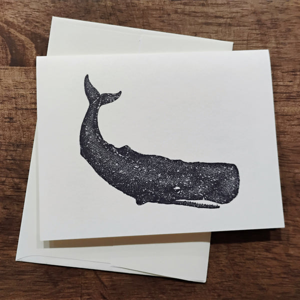 Note Card -- Whale