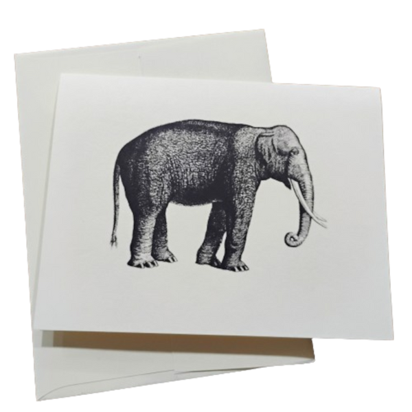 Note Card -- Elephant