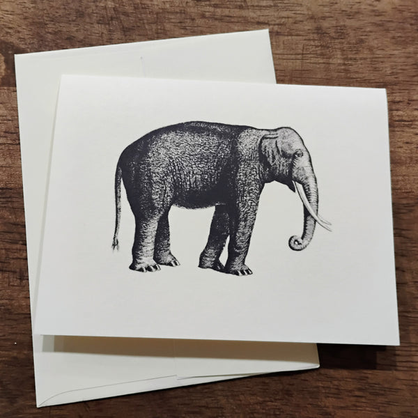 Note Card -- Elephant