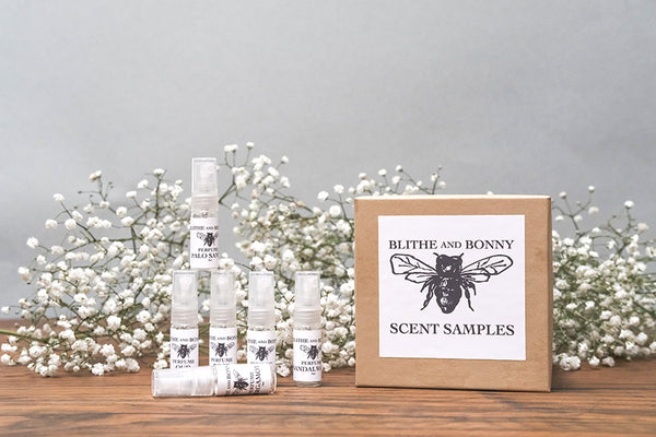 SCENTS Discovery Set