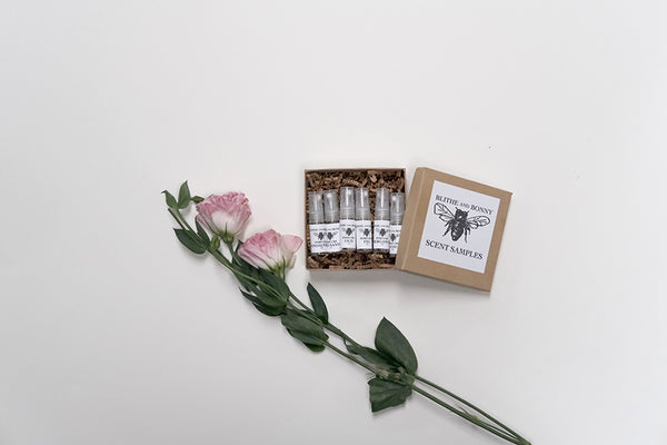 SCENTS Discovery Set